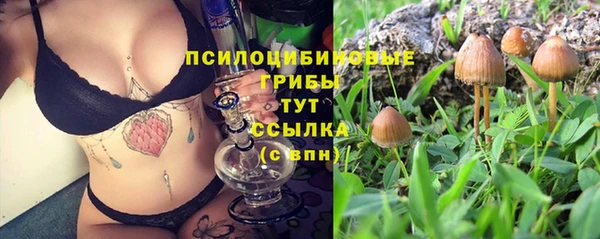 mdpv Алексин